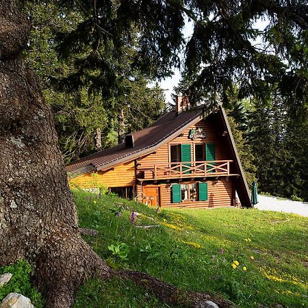 Chalet Alpinka Cerklje na Gorenjskem Exterior foto