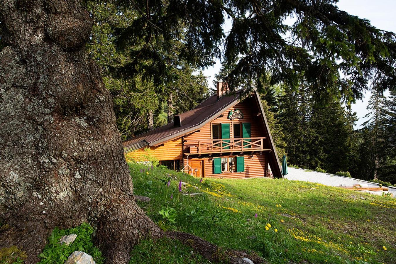 Chalet Alpinka Cerklje na Gorenjskem Exterior foto
